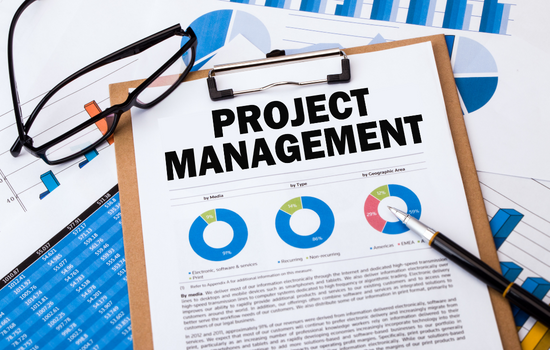 Project Management Professional (Quick Track) – Pmp